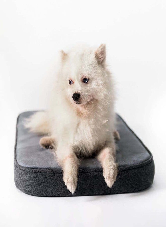 PAWSOME Snooz Dog Bed (Foam Dog Bed, Dog Bed, Puppy Bed, Pet Bed) Dog Crate Pad, Dog Crate Bed (Black,Medium) - Image 2